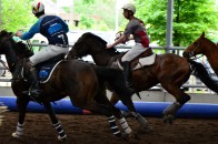 Mei 2012 - Horseball