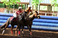 Mei 2012 - Horseball