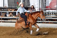 April 2014 - Llyda Reining Competition