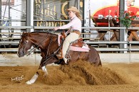 April 2014 - Llyda Reining Competition
