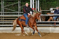 Llyda Reining Competition 1 (3-5 april 2015)